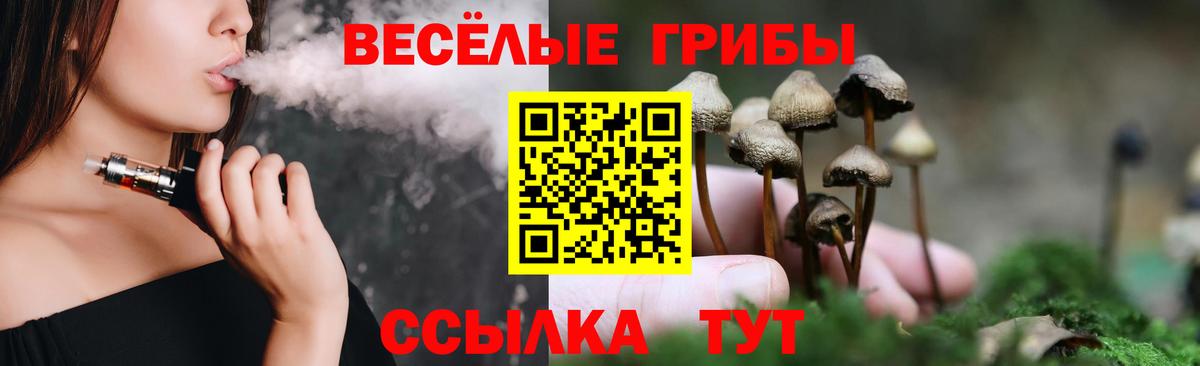 продажа наркотиков  Псилоцибиновые грибы MAGIC MUSHROOMS  Вход с VPN  Большой Камень 
